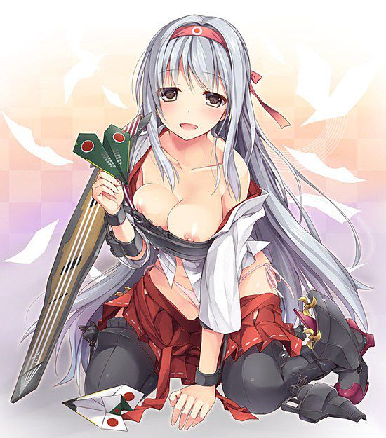 I run warship this / and want to see a crane and an erotic image of 瑞鶴! 17