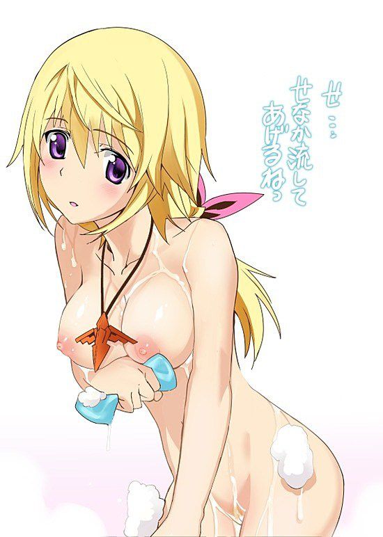 I want to see an erotic image of IS/ charlotte Dunois! 3