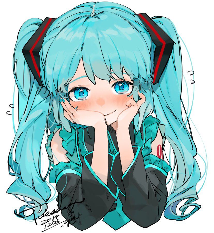 About the case where the secondary image of Vocaloid is too sloppy 11