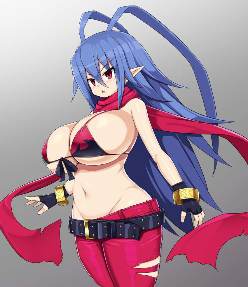 - Disgaea: Erotic image of Laharl 24