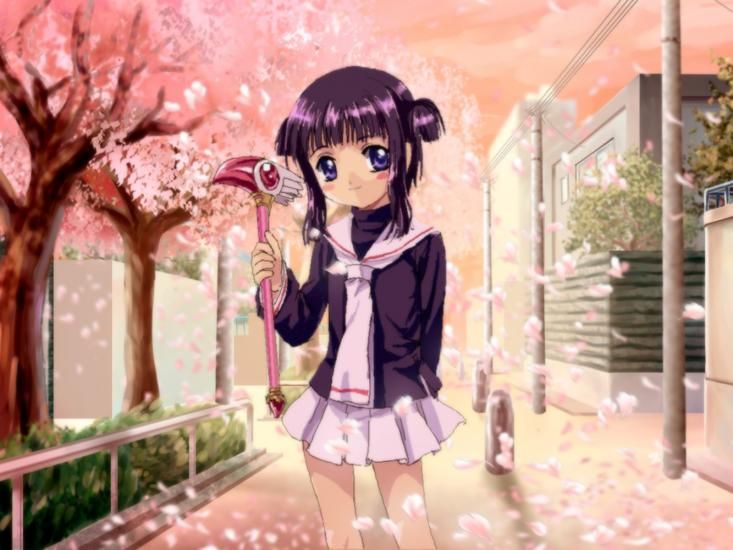 Kinomoto cherry tree card captor cherry tree Part 2 7
