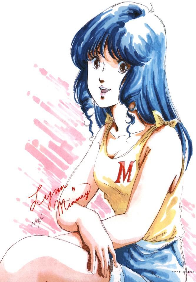 Super space-time fortress Macross 24