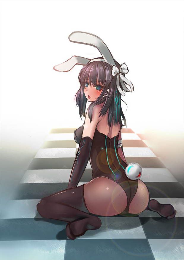 [50 pieces of ウサ ears] two-dimensional image glee ぐり part13 of the bunny girl who is H 14