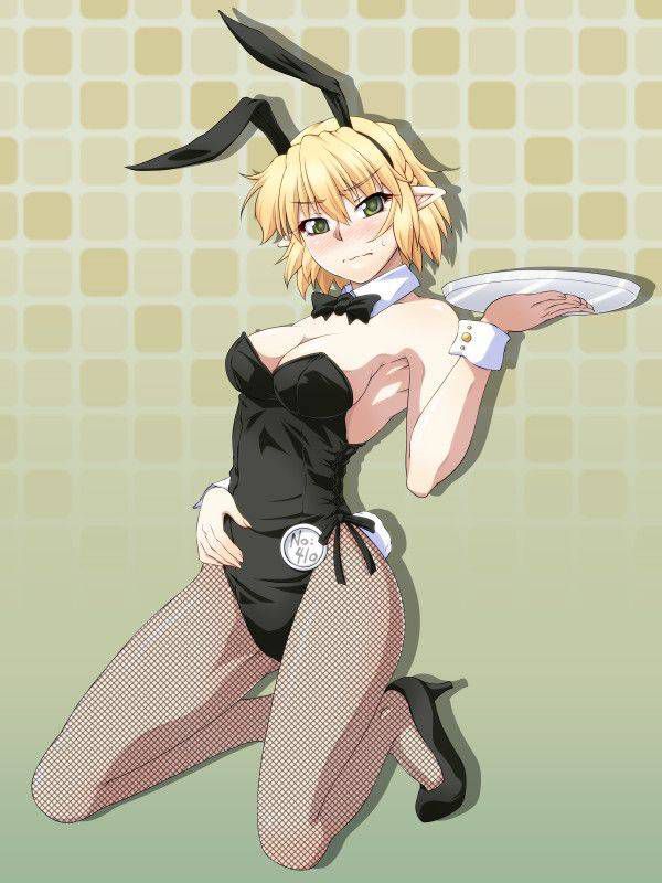 [50 pieces of ウサ ears] two-dimensional image glee ぐり part13 of the bunny girl who is H 16