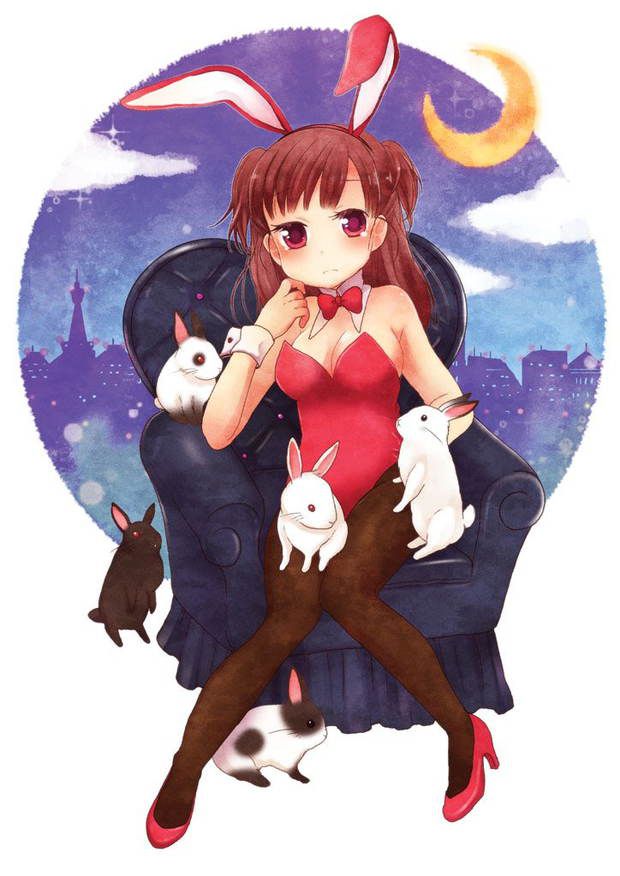 [50 pieces of ウサ ears] two-dimensional image glee ぐり part13 of the bunny girl who is H 3