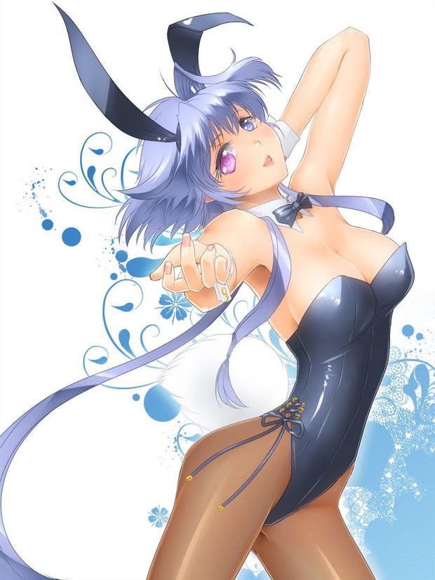 [50 pieces of ウサ ears] two-dimensional image glee ぐり part13 of the bunny girl who is H 33
