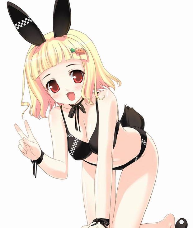 [50 pieces of ウサ ears] two-dimensional image glee ぐり part13 of the bunny girl who is H 39
