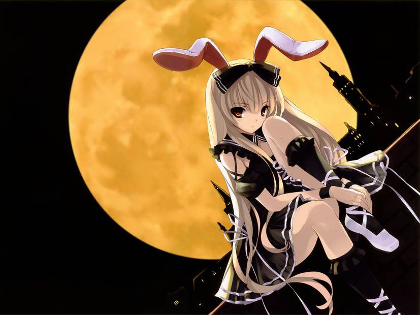 [50 pieces of ウサ ears] two-dimensional image glee ぐり part13 of the bunny girl who is H 47