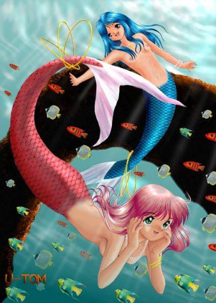 [55 pieces] A two-dimensional fantasy inhumanity image of mermaids. 7 22