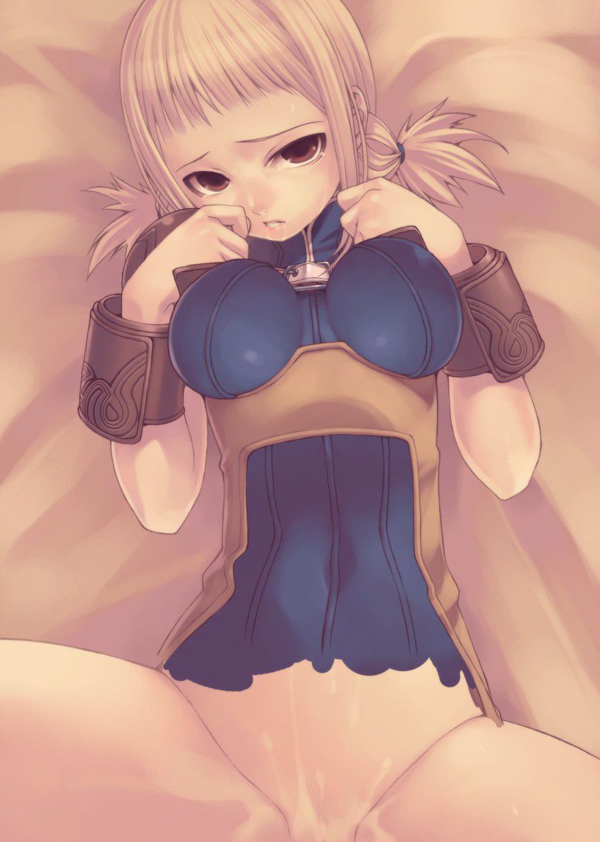 [FF12] Eroticism image [Final Fantasy XII] of bread Nero 26