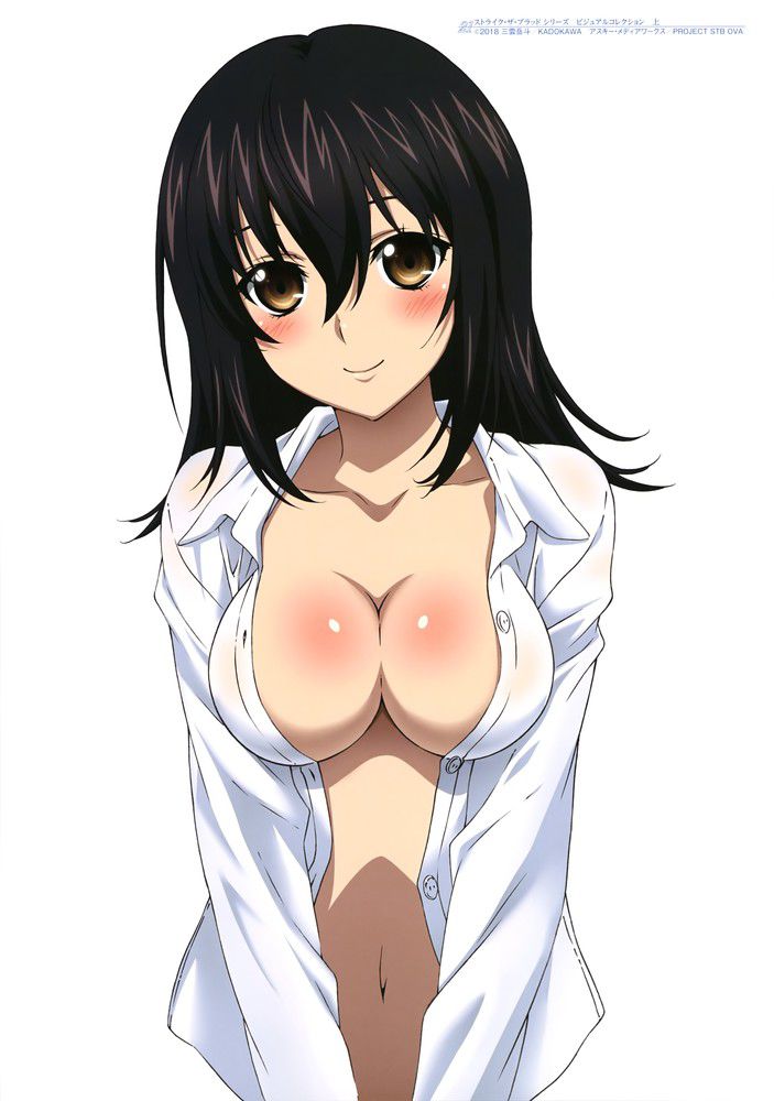 Yukina Hime of Strike the Blood (third grade), too much of an official take-off 14