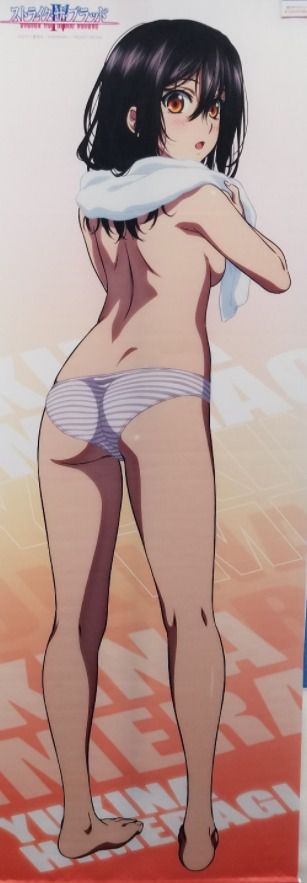 Yukina Hime of Strike the Blood (third grade), too much of an official take-off 28