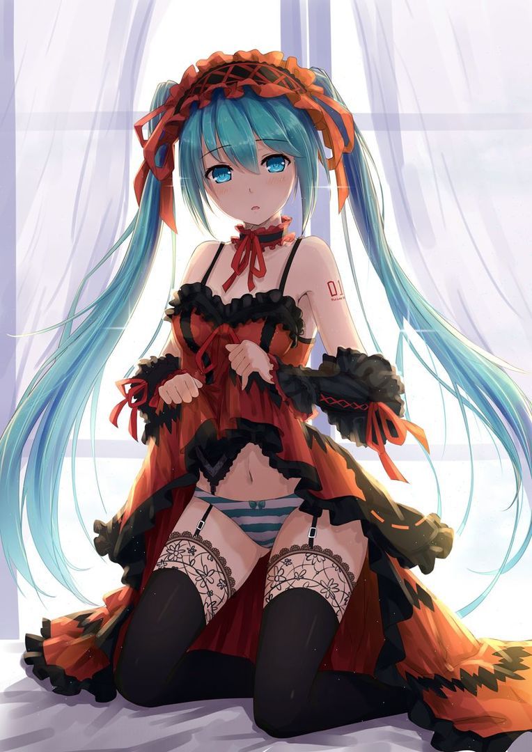 Vocaloid two-dimensional erotic pictures 9