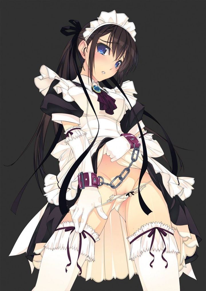 [Maid] two-dimensional erotic images of your service maids 13