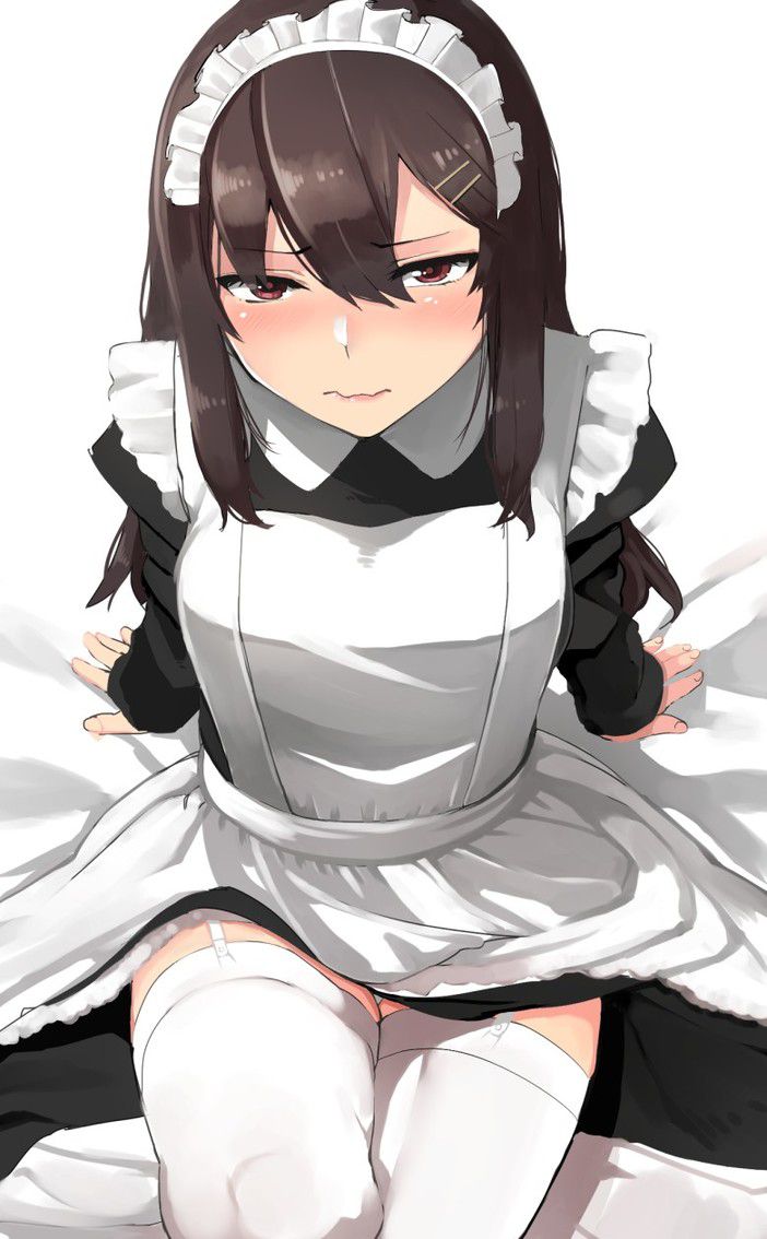 [Maid] two-dimensional erotic images of your service maids 14
