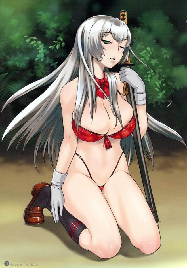 Ikki Tousen five Tiger generals erotic images Vol 2 18