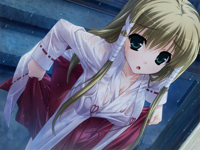 Admire the shrine maiden's second erotic images. 17