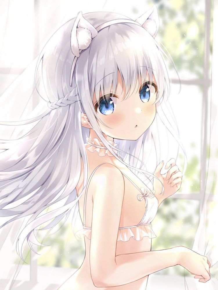 Publish the silver-haired images folder! 10