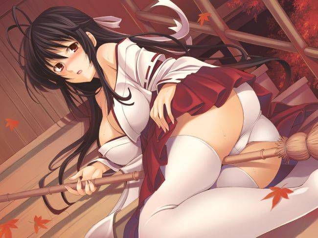 Free erotic images folder of the Miko 2
