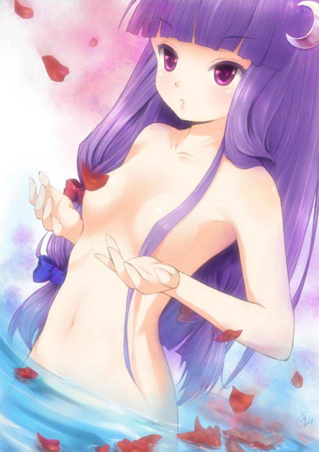 Touhou project patchouli knowledge's second erotic image part3 [touhou Project] 19