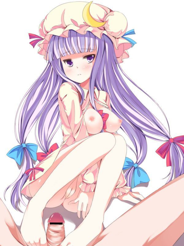 We review the erotic images [touhou Project: patchouli knowledge 13