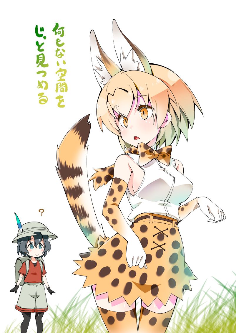 Bag-Chan x Serval Chan Ho was cute stiff image posting.! [Friends of the beast, the beast friends 5