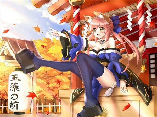 [Secondary erotic images] [Fate/Grand Order and GO: chemo girl, tamamo, g CASS Fox of Mexico 45 erotic images | Part7 2