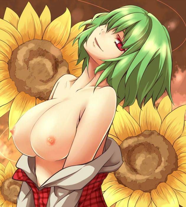 Touhou Project hentai pictures! 16