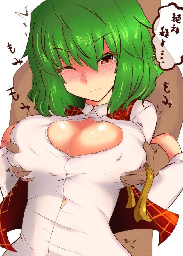 Touhou Project hentai pictures! 5