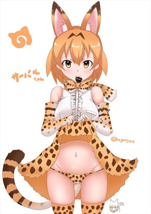 50 erotic images of the Serval beast friends [the installation frame] 19