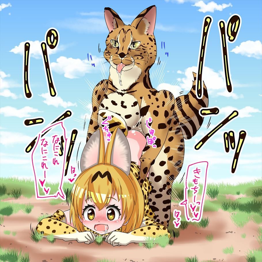 50 erotic images of the Serval beast friends [the installation frame] 27