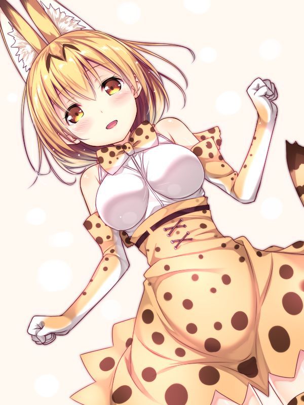 50 erotic images of the Serval beast friends [the installation frame] 28