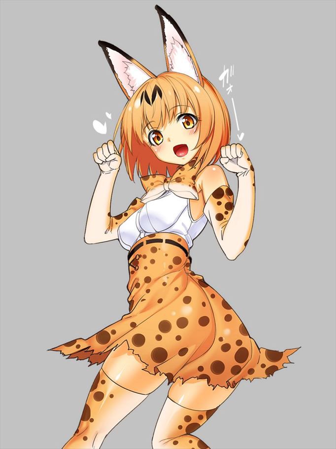 50 erotic images of the Serval beast friends [the installation frame] 30