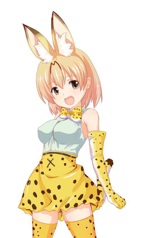 50 erotic images of the Serval beast friends [the installation frame] 32