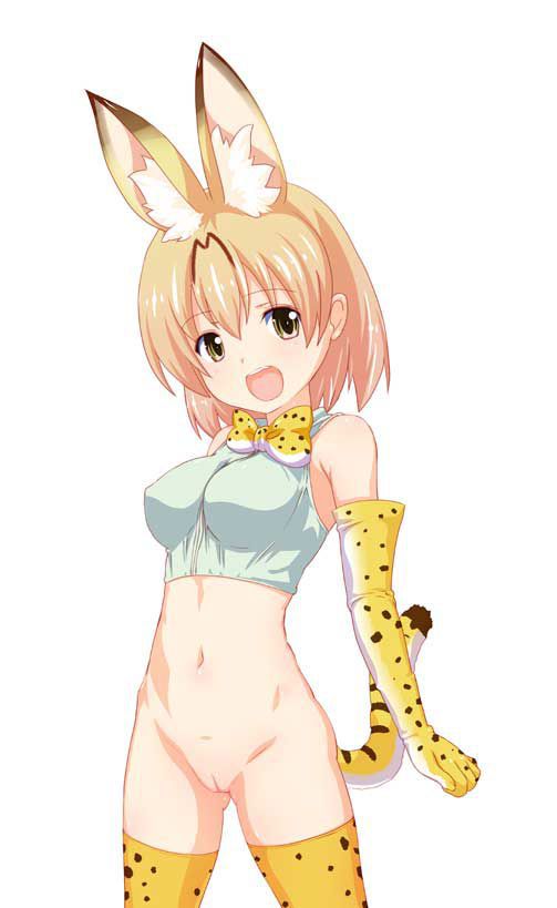 50 erotic images of the Serval beast friends [the installation frame] 33