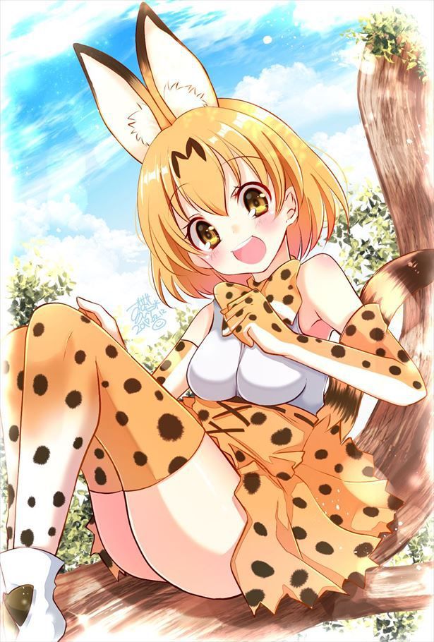 50 erotic images of the Serval beast friends [the installation frame] 36