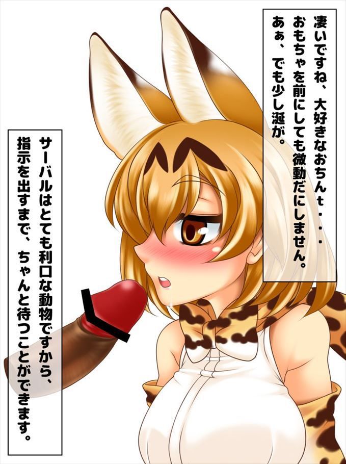 50 erotic images of the Serval beast friends [the installation frame] 7