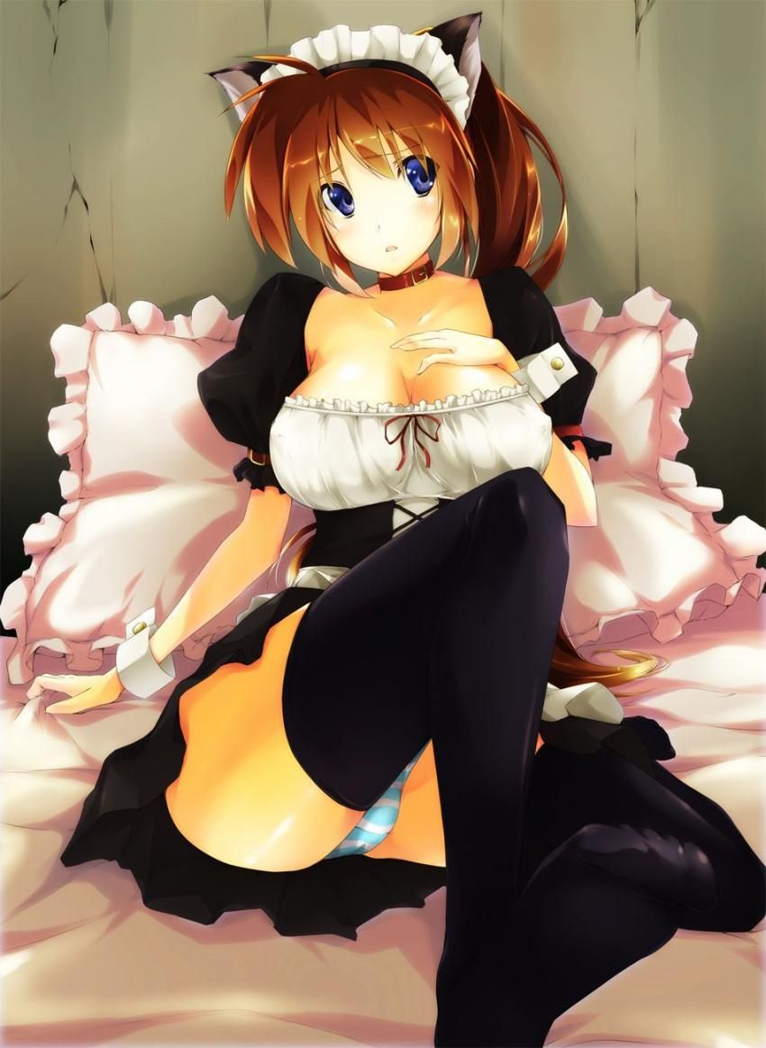 I want to pull out with the secondary erotic image of magical girl Lyrical Nanoha! 8