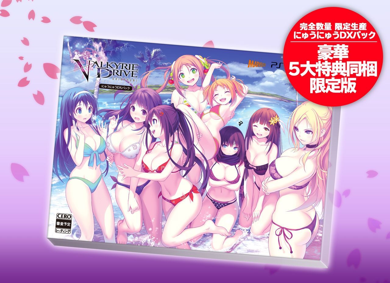 Valkyrie drive images 16