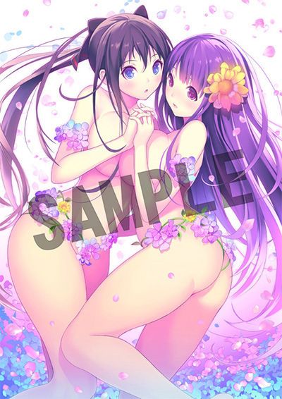 Valkyrie drive images 17