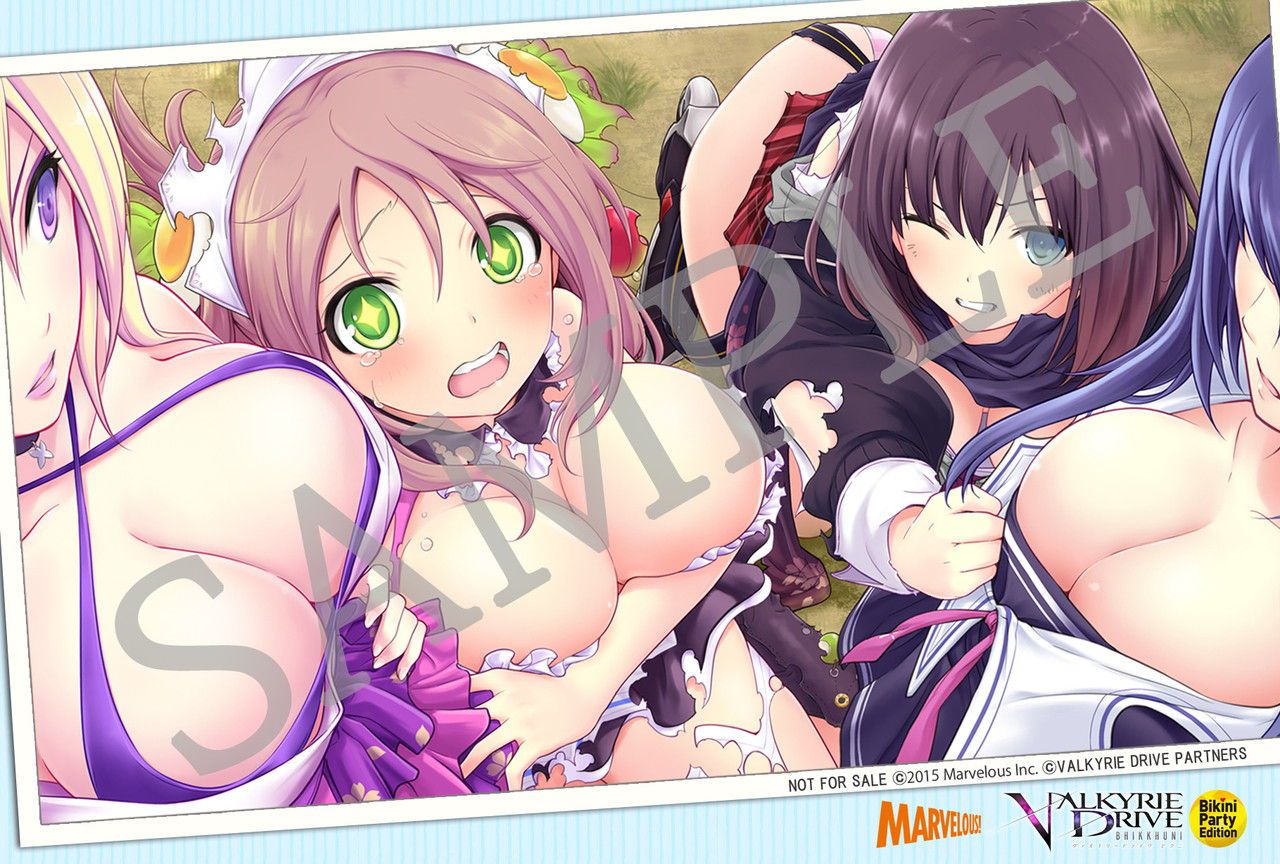 Valkyrie drive images 33