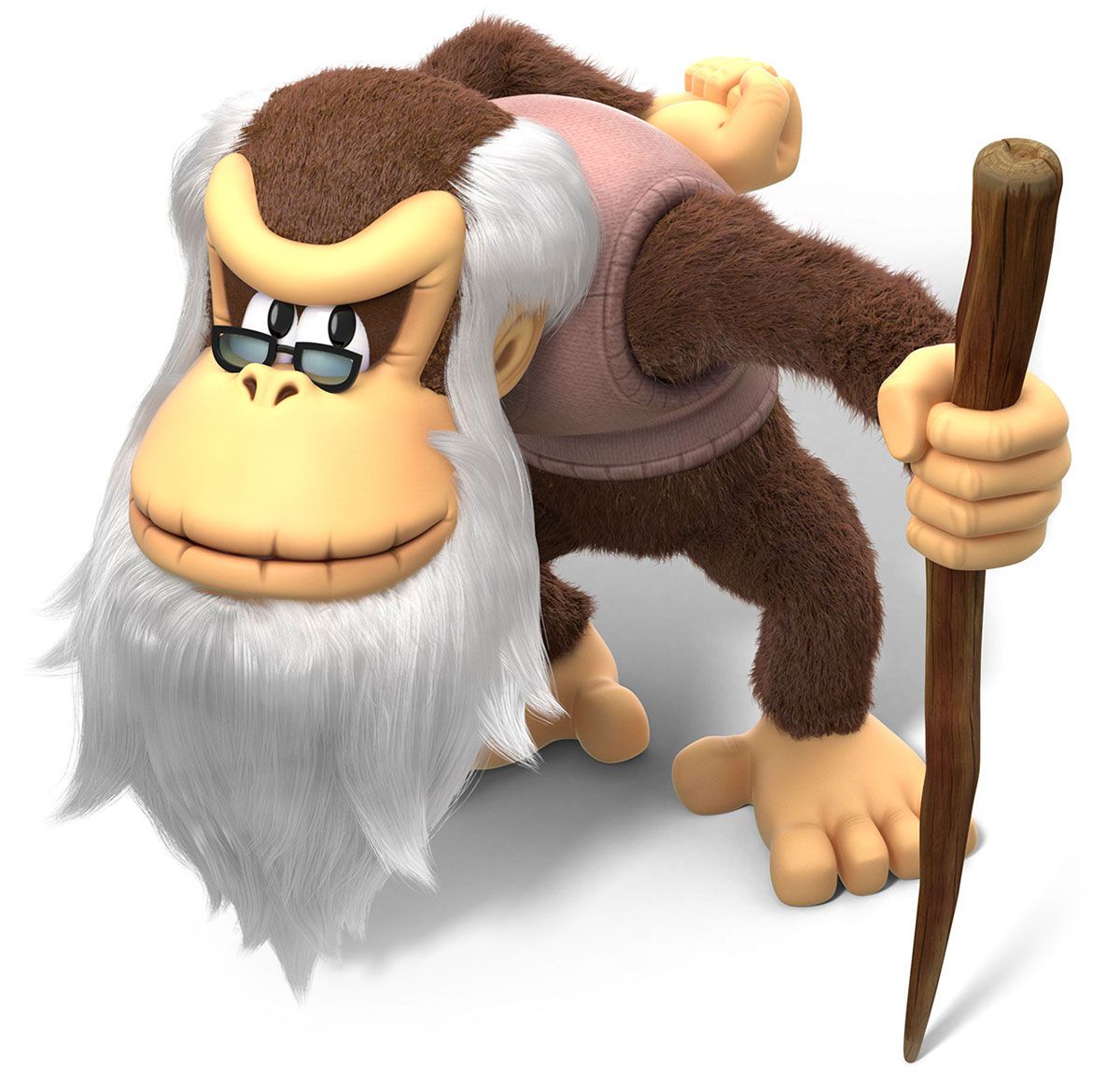 Picture of Donkey Kong tropical freeze 5