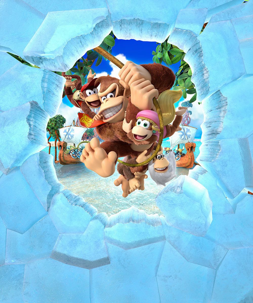 Picture of Donkey Kong tropical freeze 9