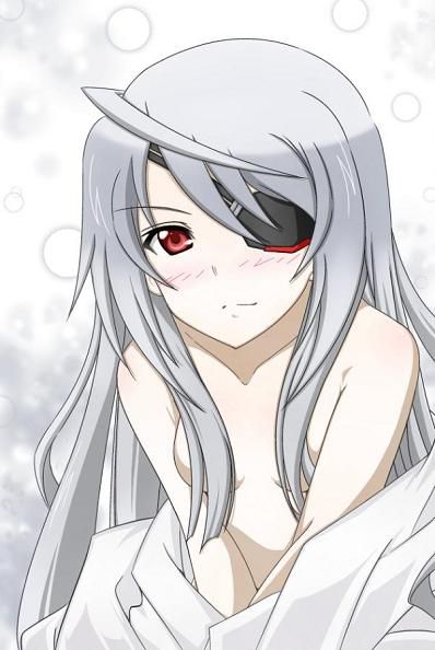 IS-infinite Stratos-[Laura bodewig 4] 18