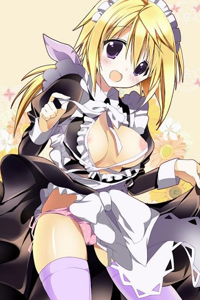 IS-infinite Stratos-[Charlotte dunois 9] 12
