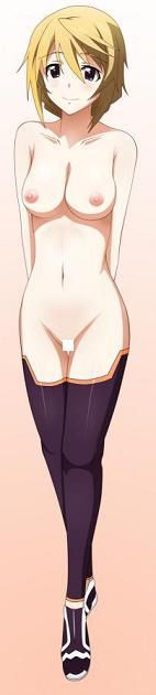 IS-infinite Stratos-[Charlotte dunois 9] 15