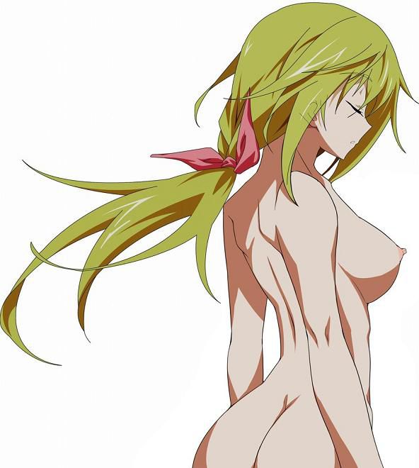 IS-infinite Stratos-[Charlotte dunois 9] 20