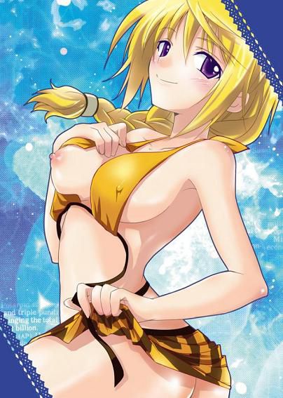 IS-infinite Stratos-[Charlotte dunois 9] 8