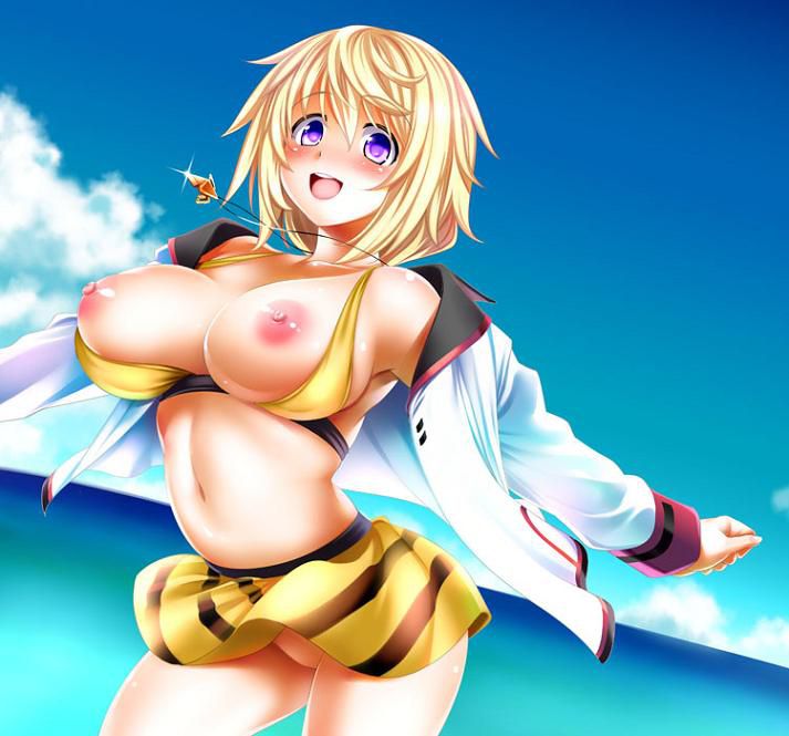 IS-infinite Stratos-[Charlotte dunois 9] 9