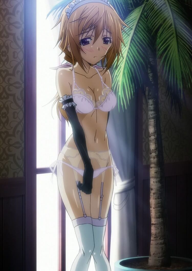 Erotic image article 6 coming out of the "infinite Stratos' JLPT 10